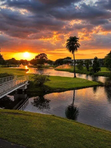 Sunset In Wynmoor