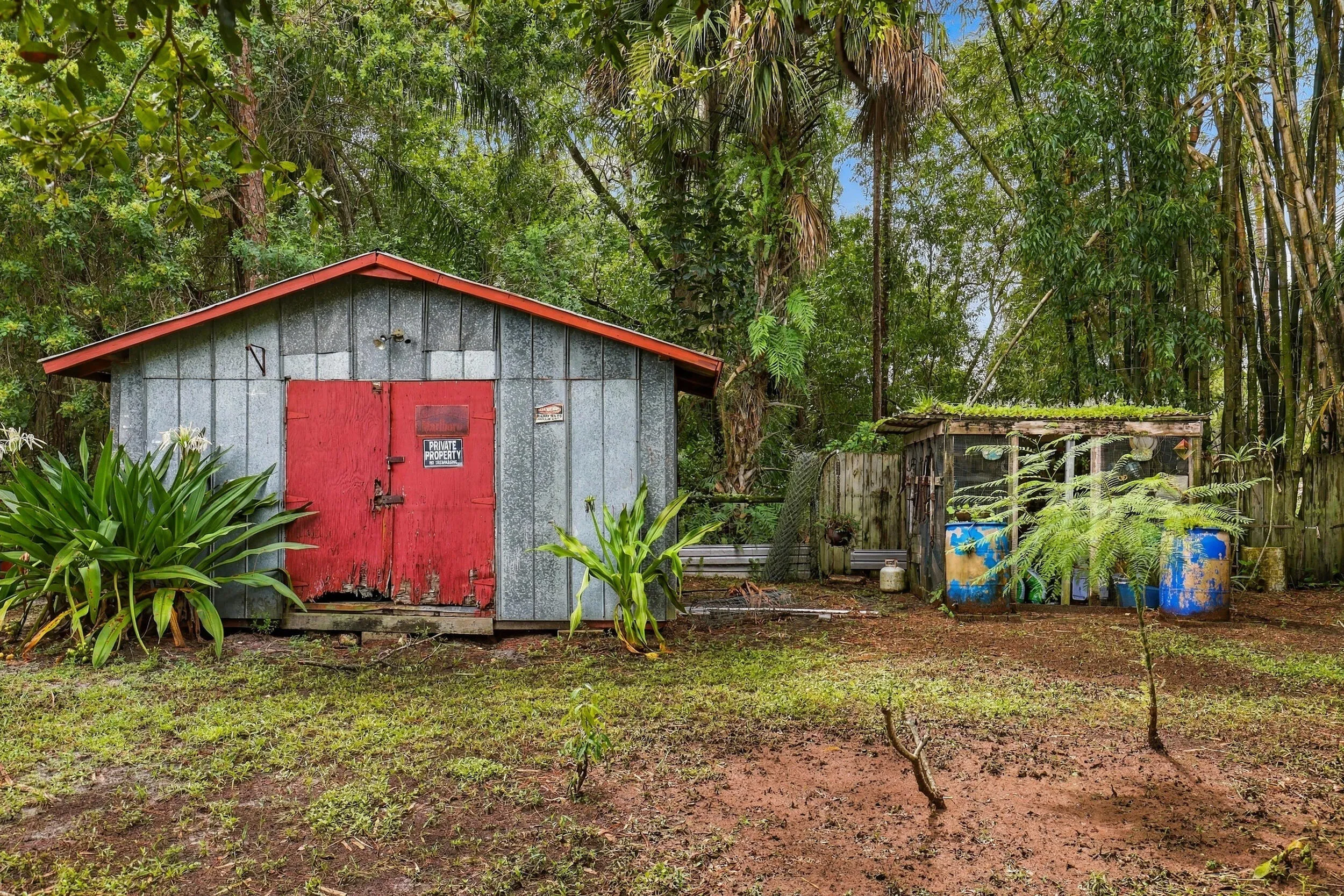 Shed & BGarden Area