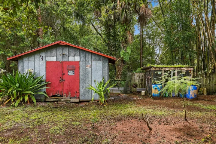 Shed & BGarden Area
