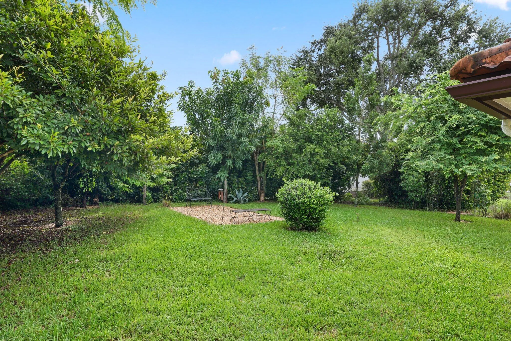 Yard