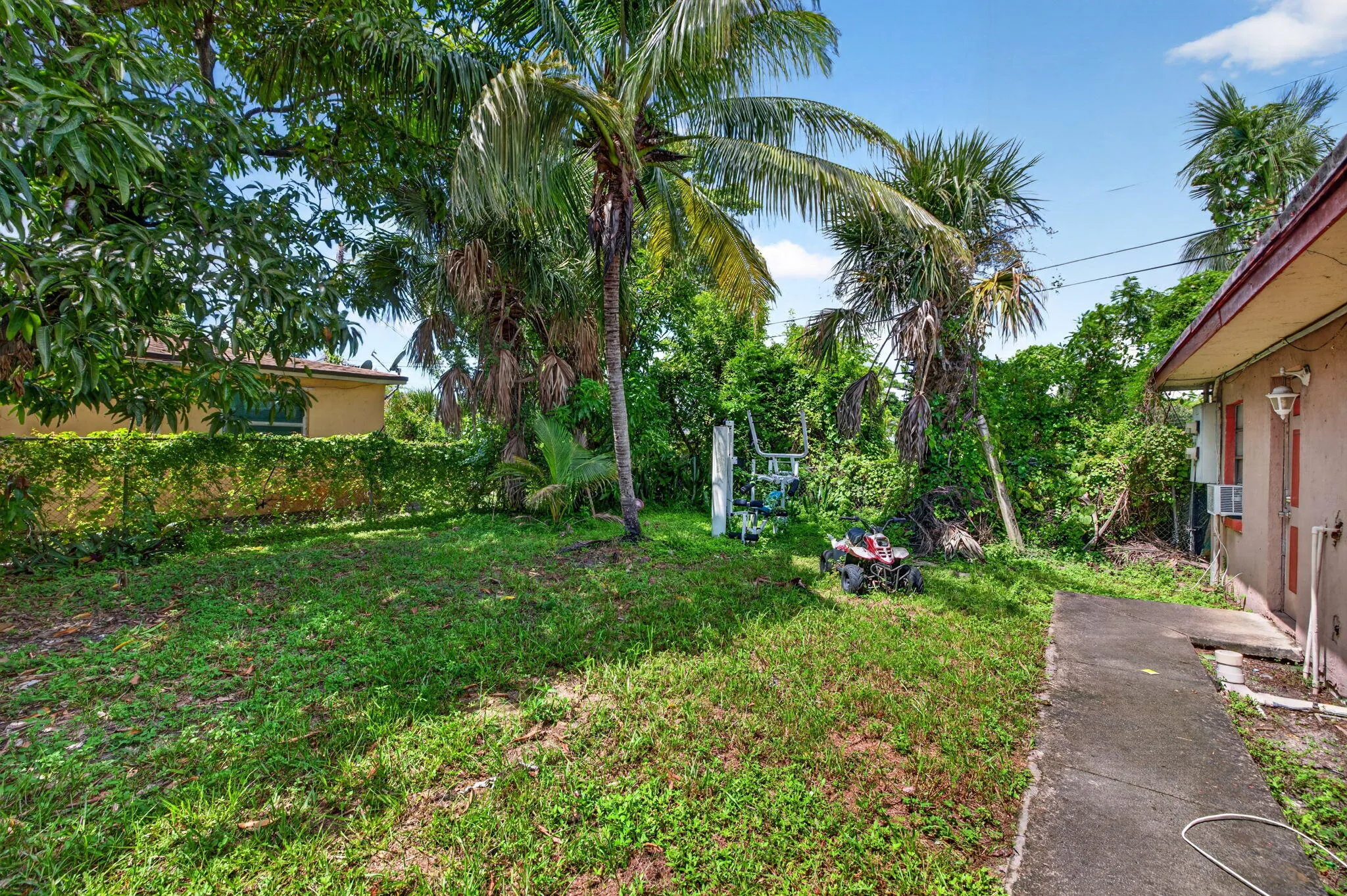 36-web-or-mls-699A7728
