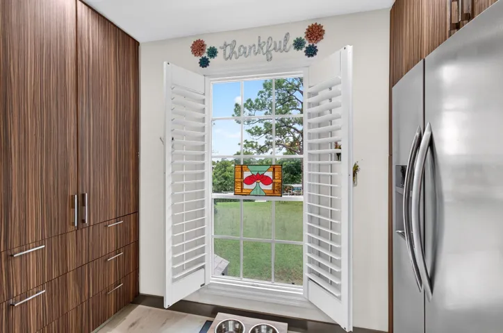 Kitchen Window