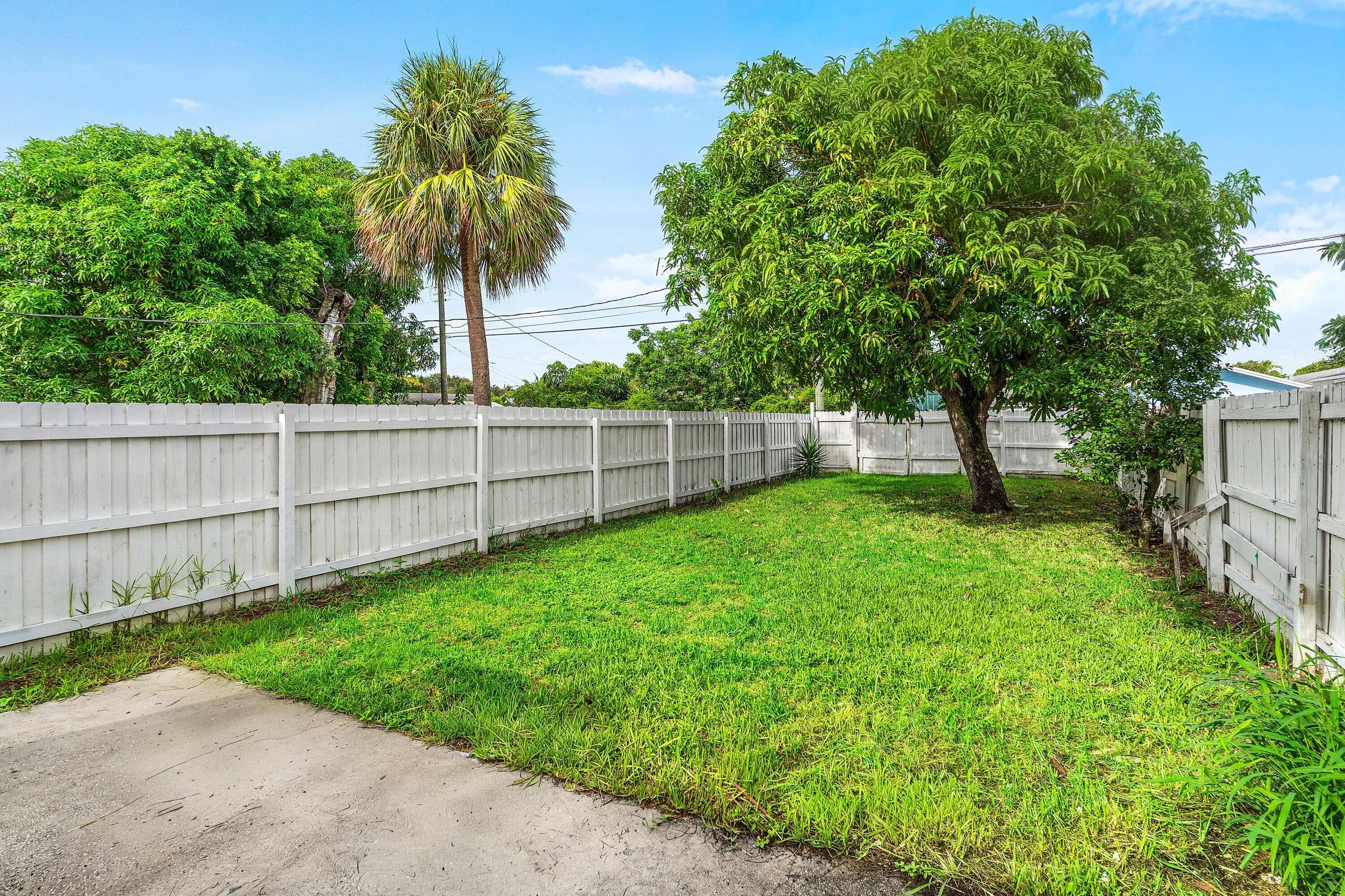 Spacious Backyard