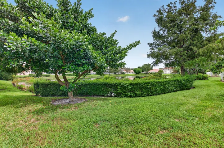 Yard