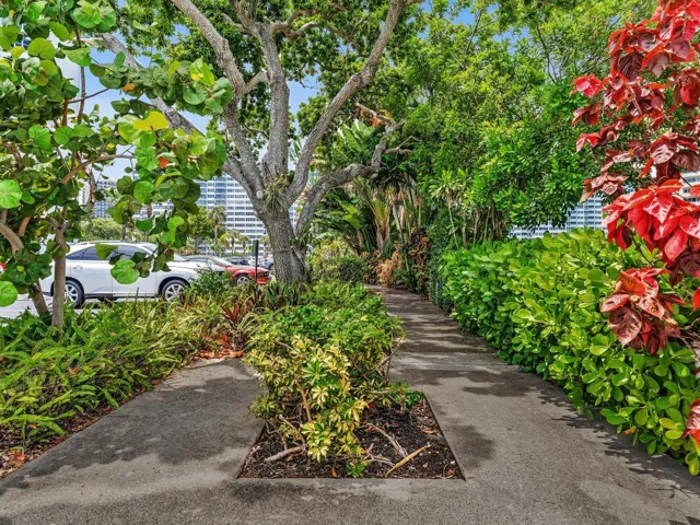 Orchid lined paths