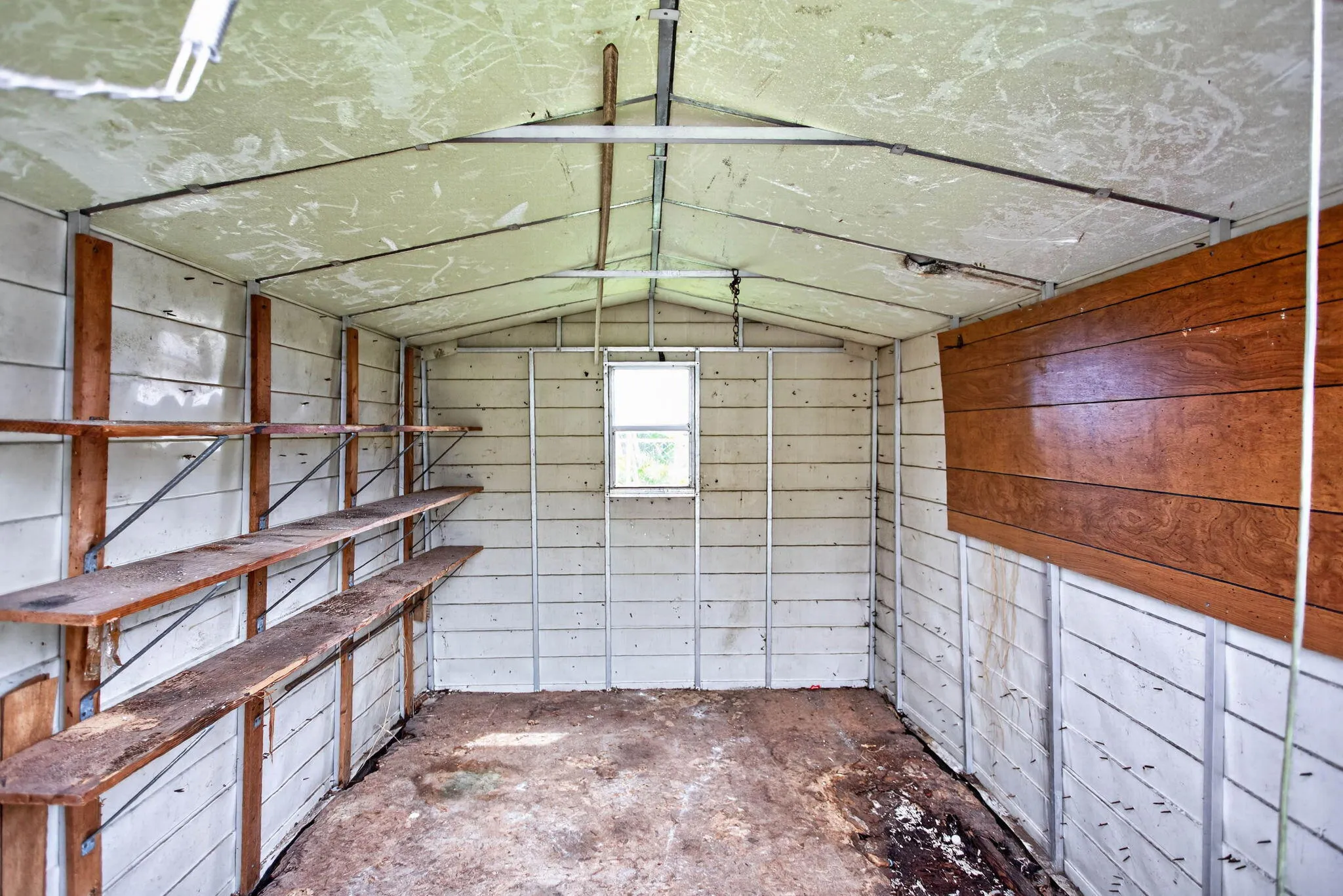 9-web-or-mls-631-9