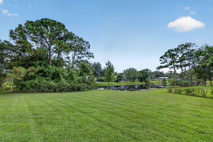 53-web-or-mls-3A5A9334