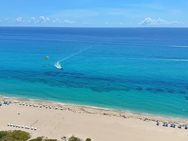 View from Unit