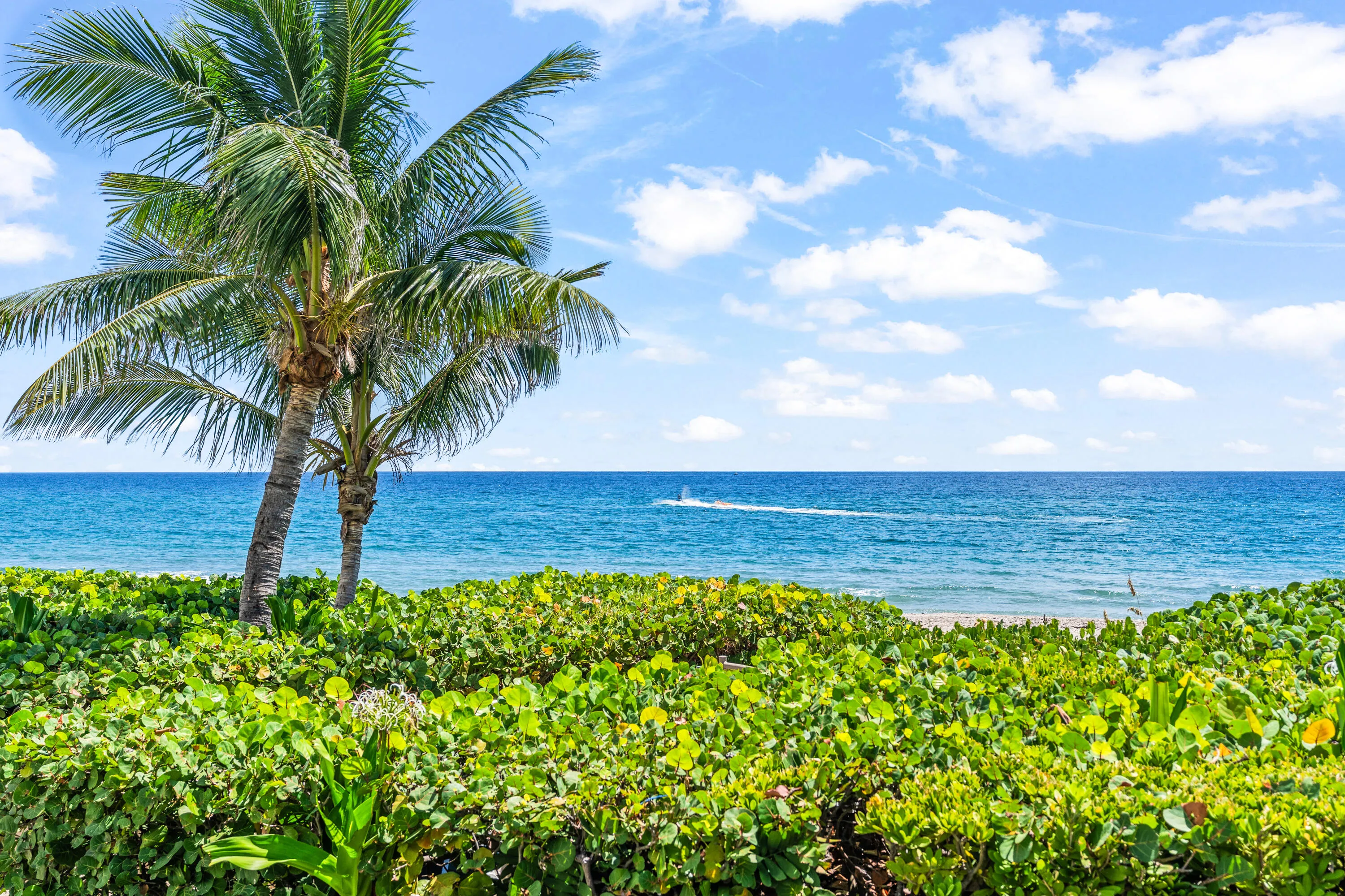 Ocean Front