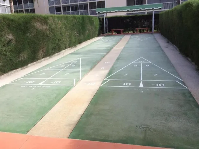 Shuffleboard