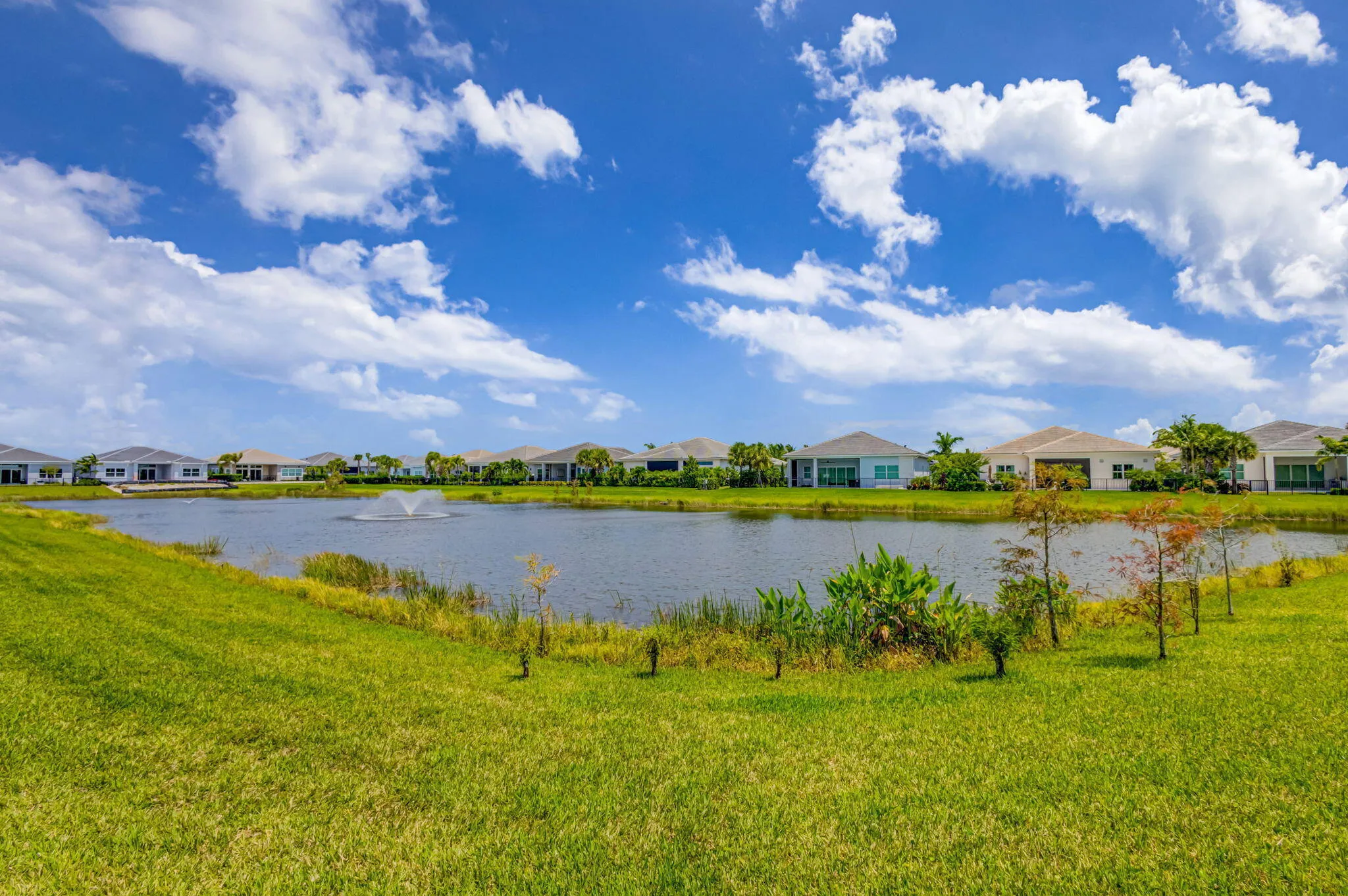 Waterviews 71-web-or-mls-5D1A3114JS