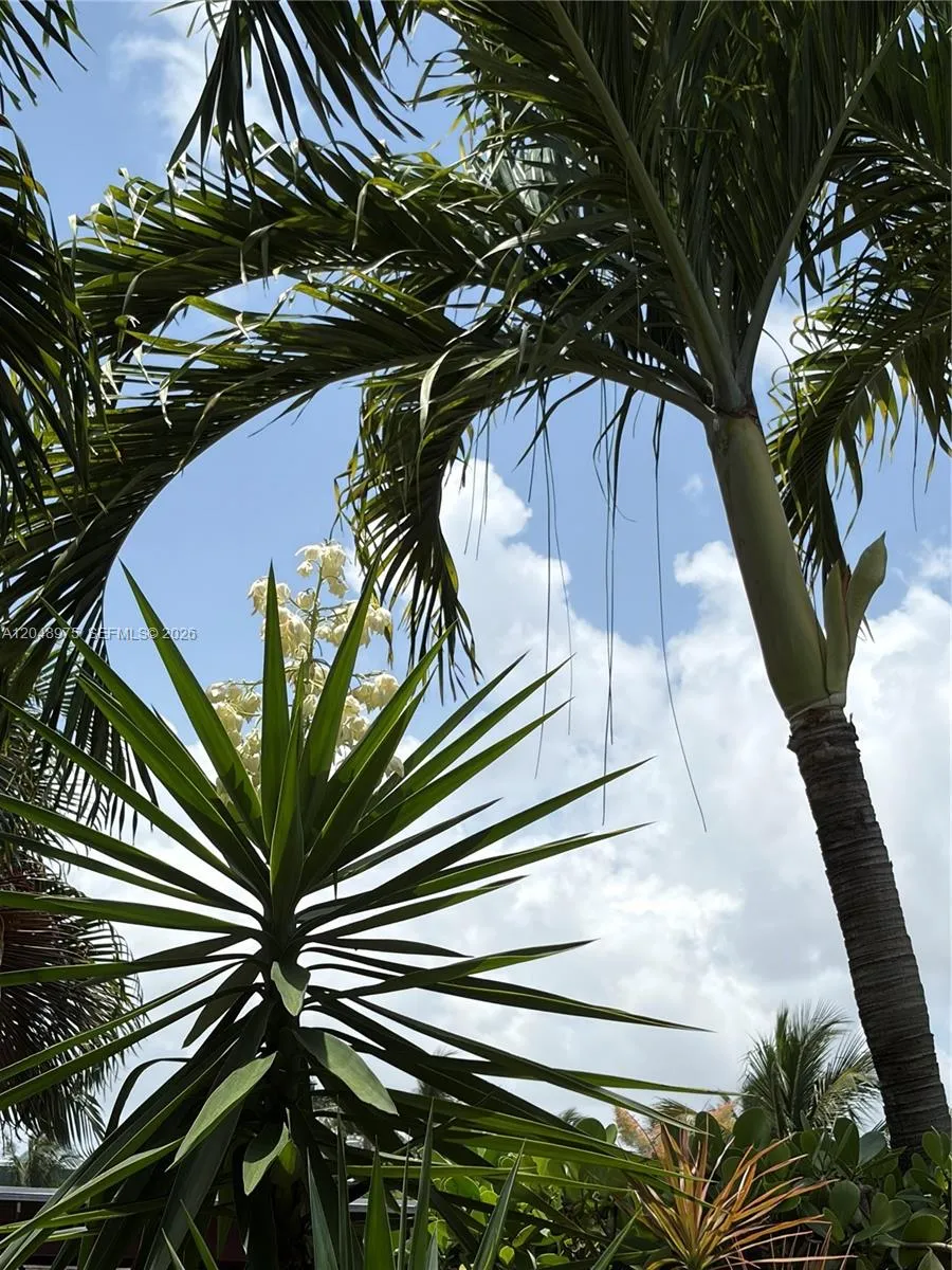 Garden Foliage