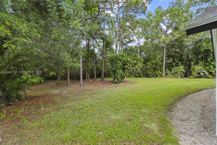Photo 32