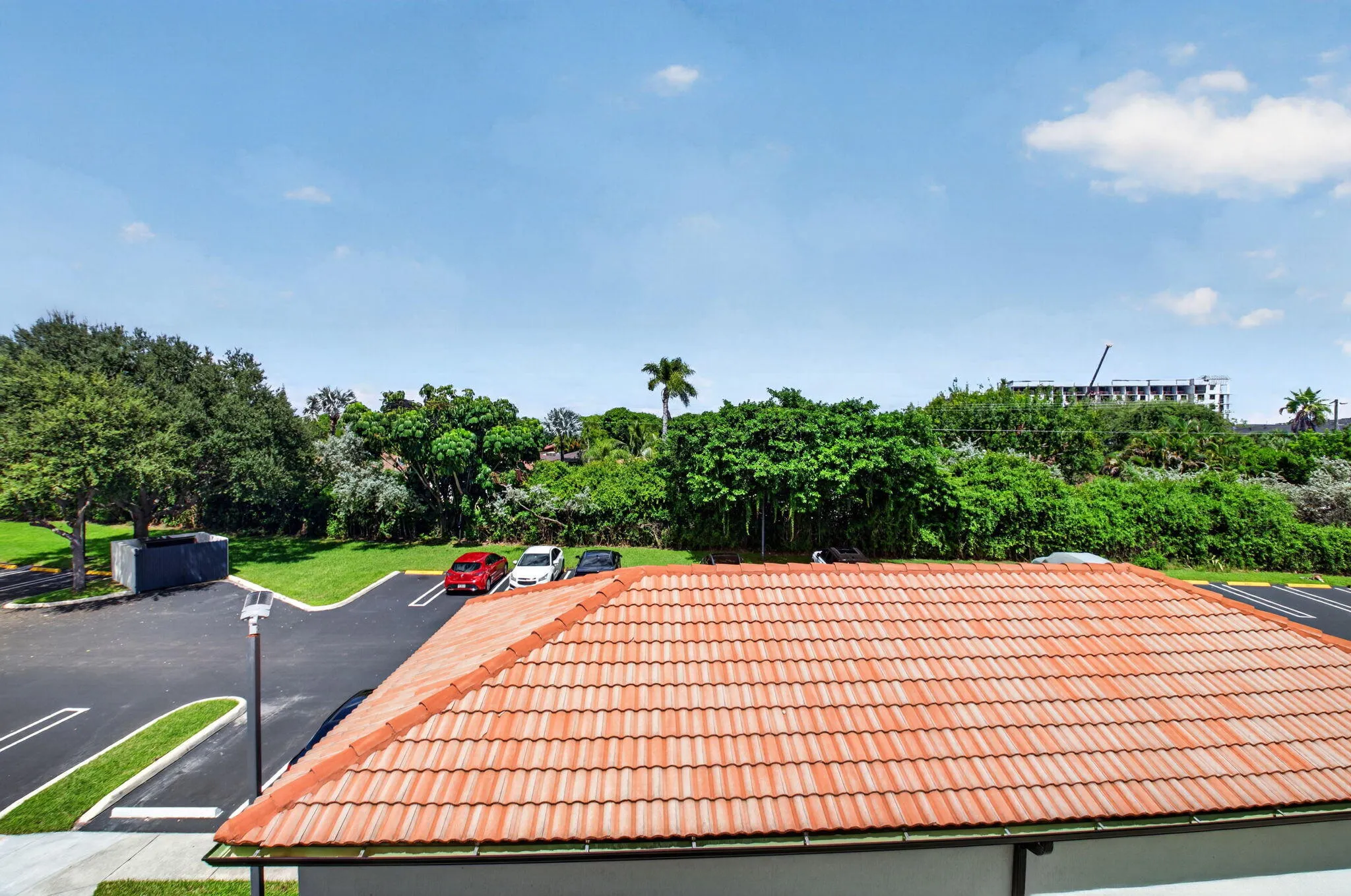 29-web-or-mls-DSC_7688
