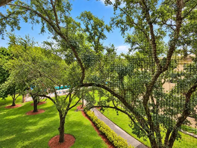 Patio View