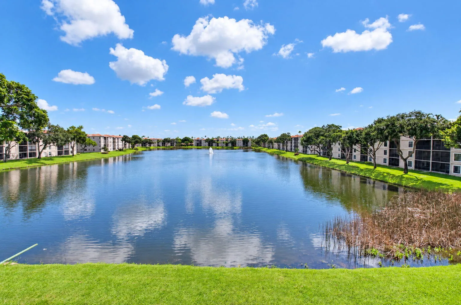 Lake View