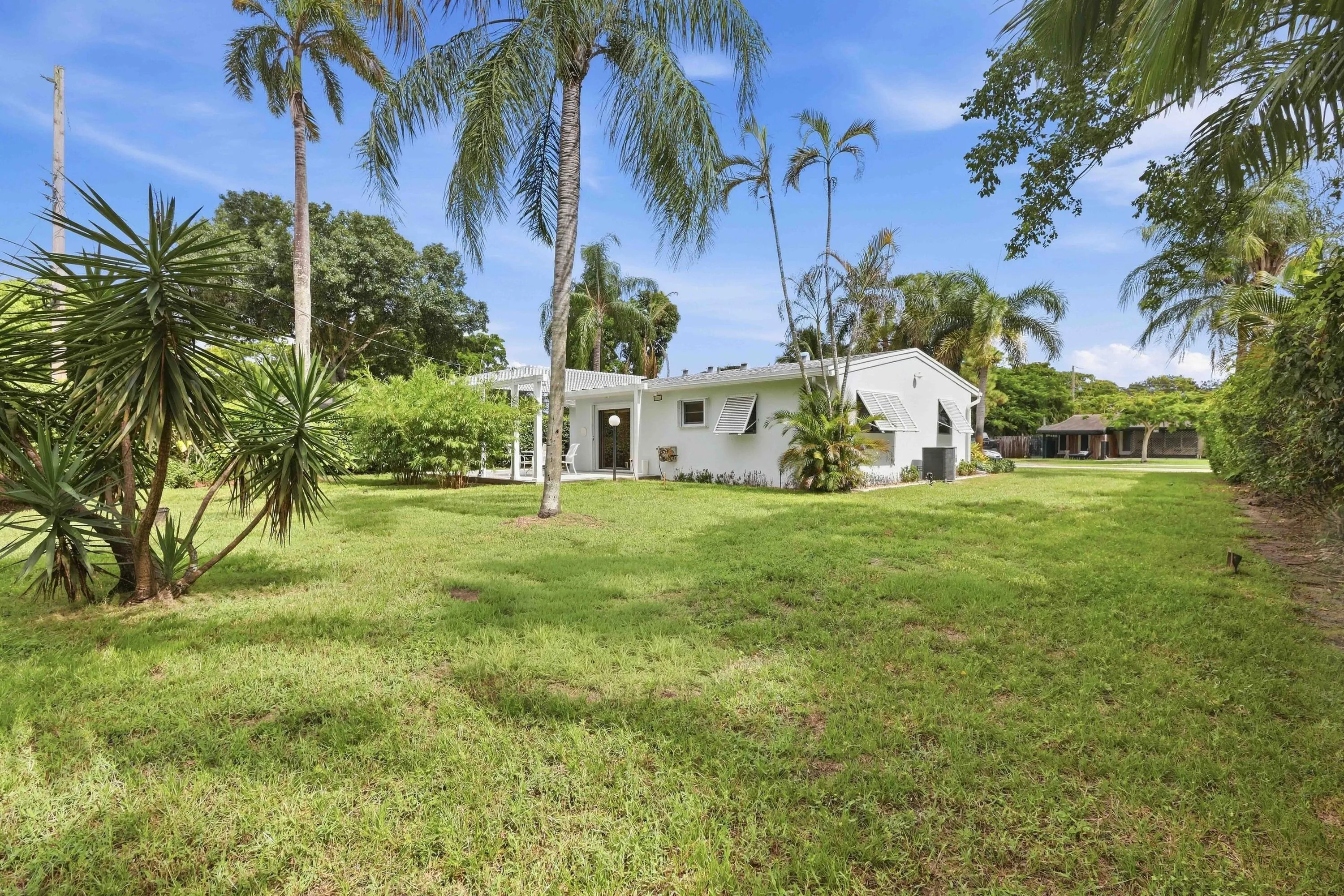 Expansive lawn with mature palm trees