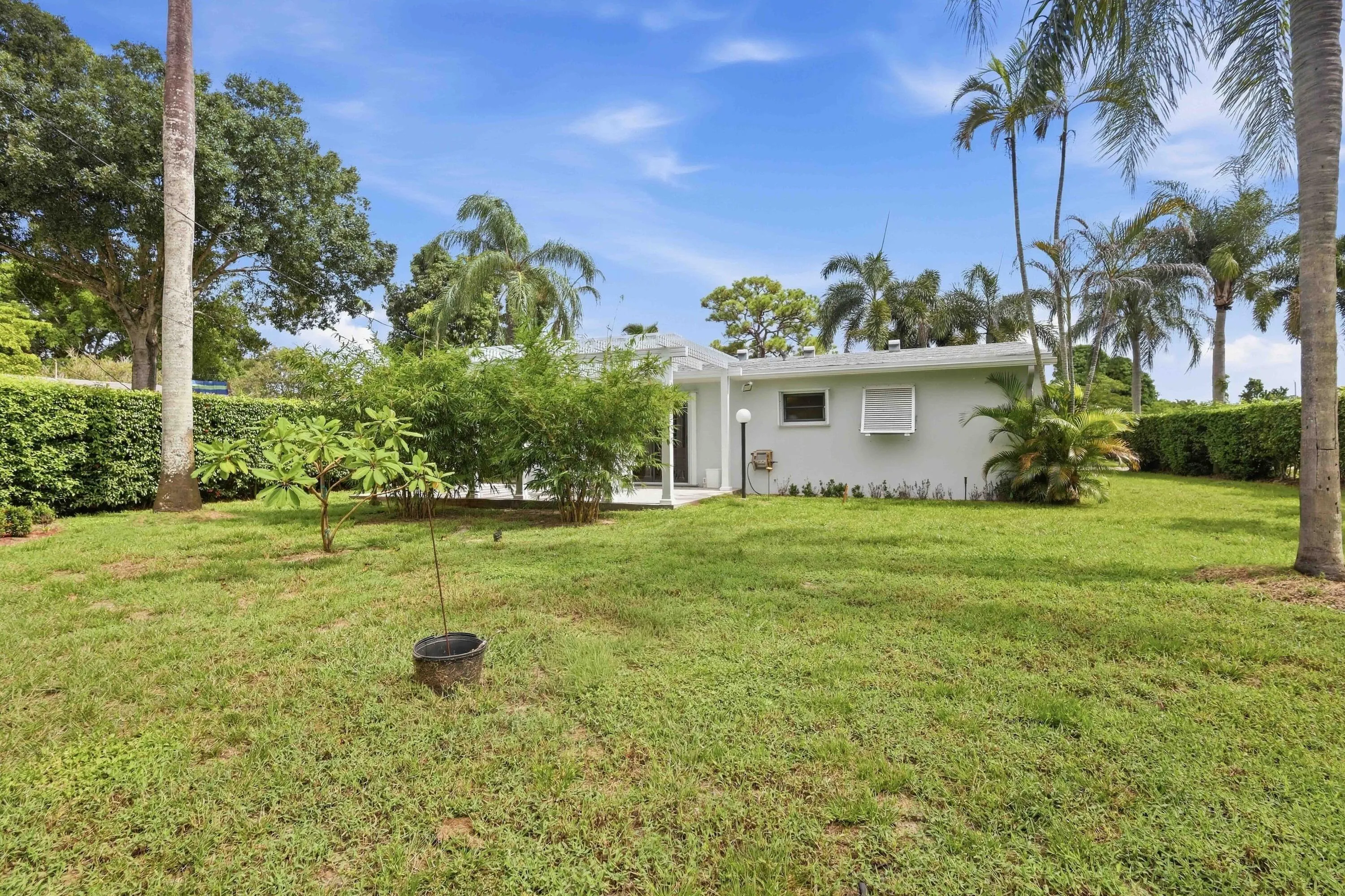 Expansive lawn area with mature trees and perimeter hedging