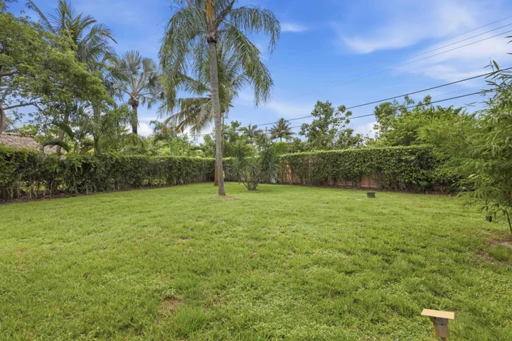 Expansive lawn area with mature palm trees and lush perimeter hedging