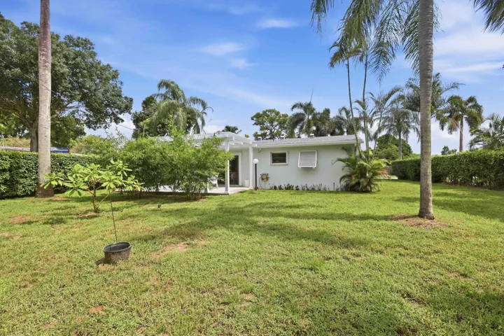 Expansive grassy yard with mature palm trees and established hedges