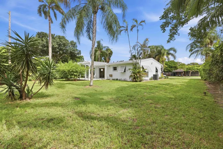 Expansive lawn with mature palm trees