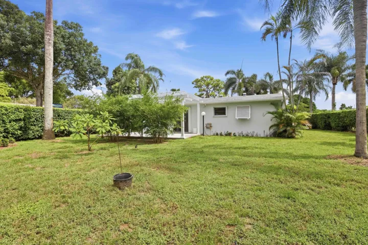 Expansive lawn area with mature trees and perimeter hedging