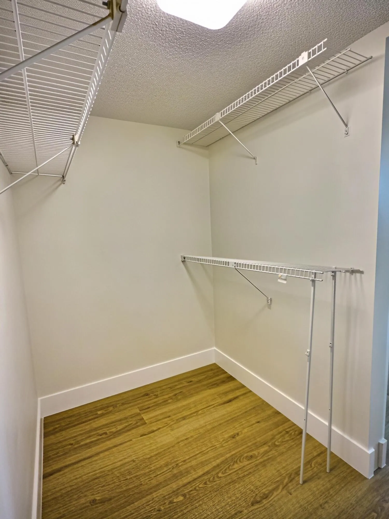 Primary Room - Walk-in Closet