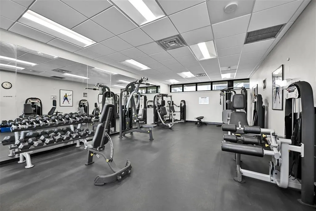 Gym 3