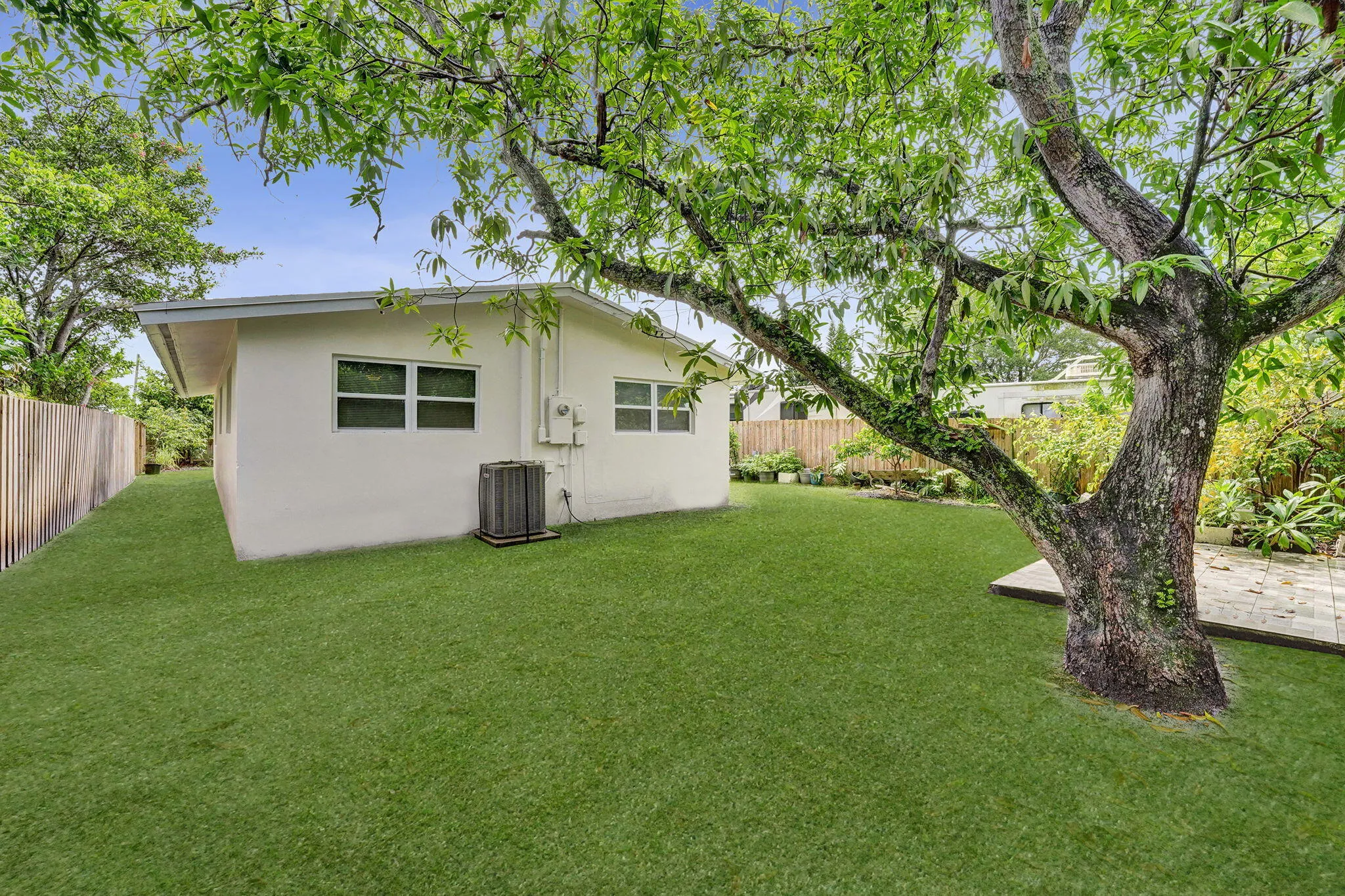 14 05 Back Yard