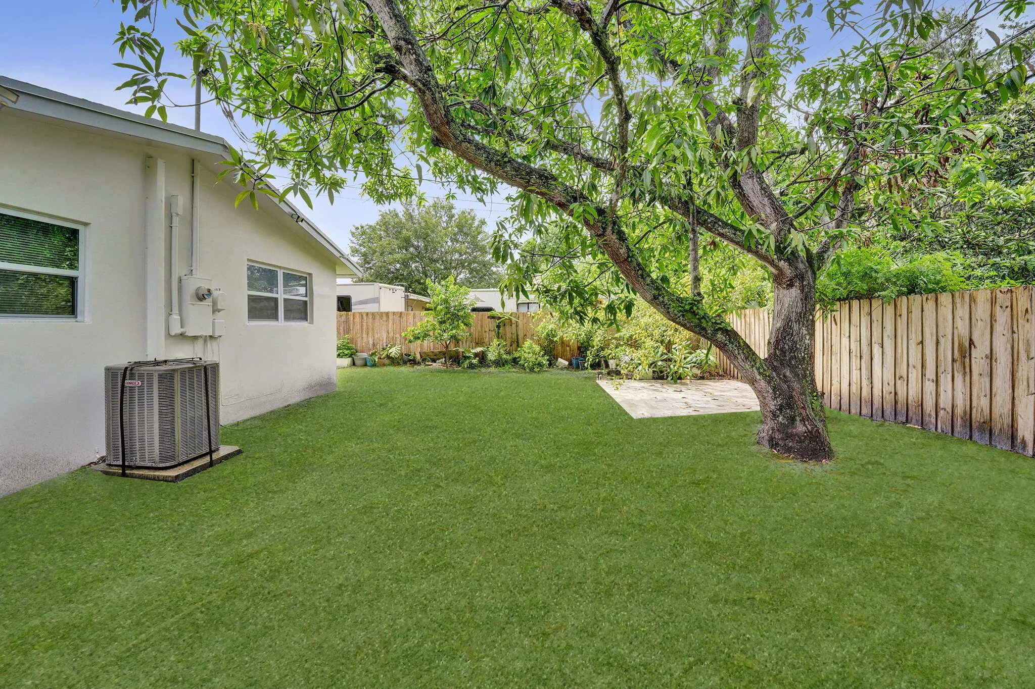 14 06 Back Yard