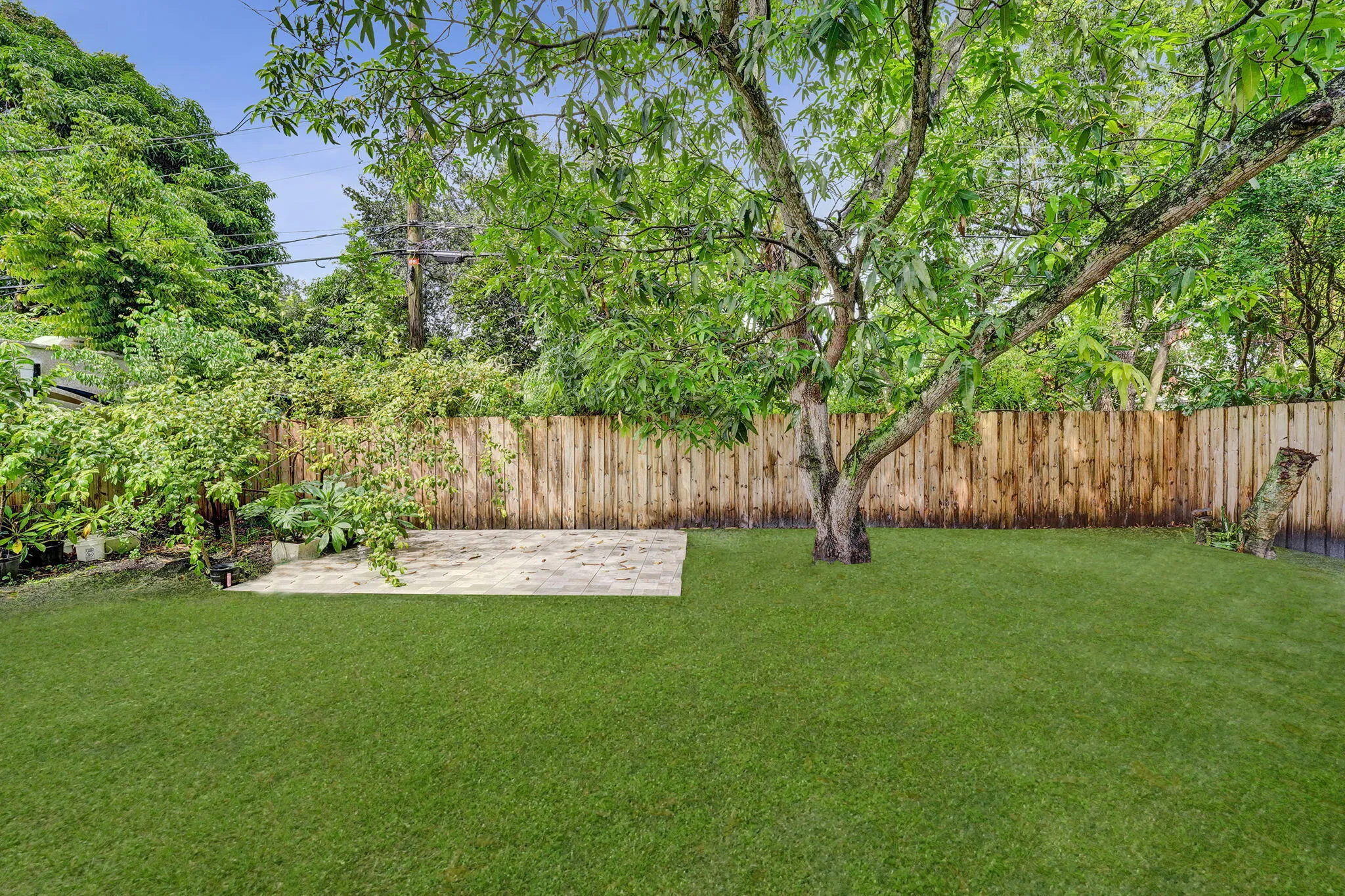 13 06 Back Yard
