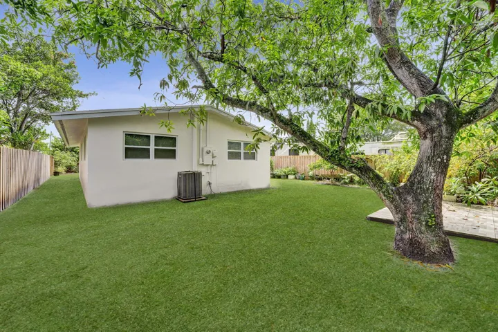 14 05 Back Yard