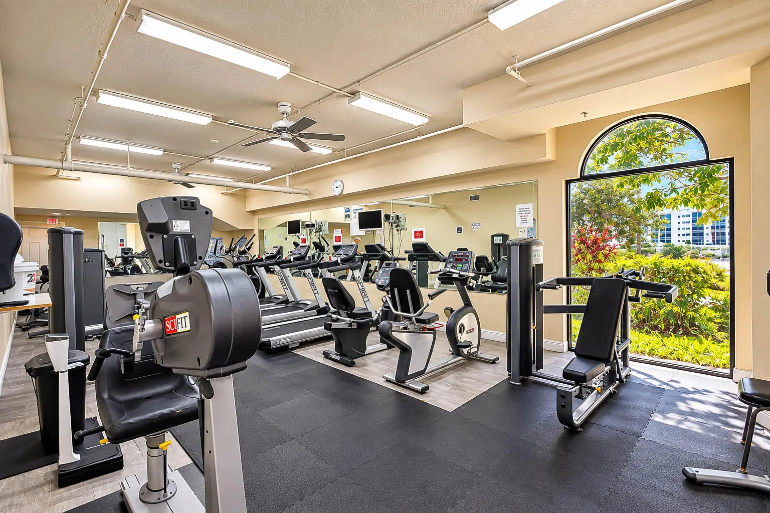 GYM