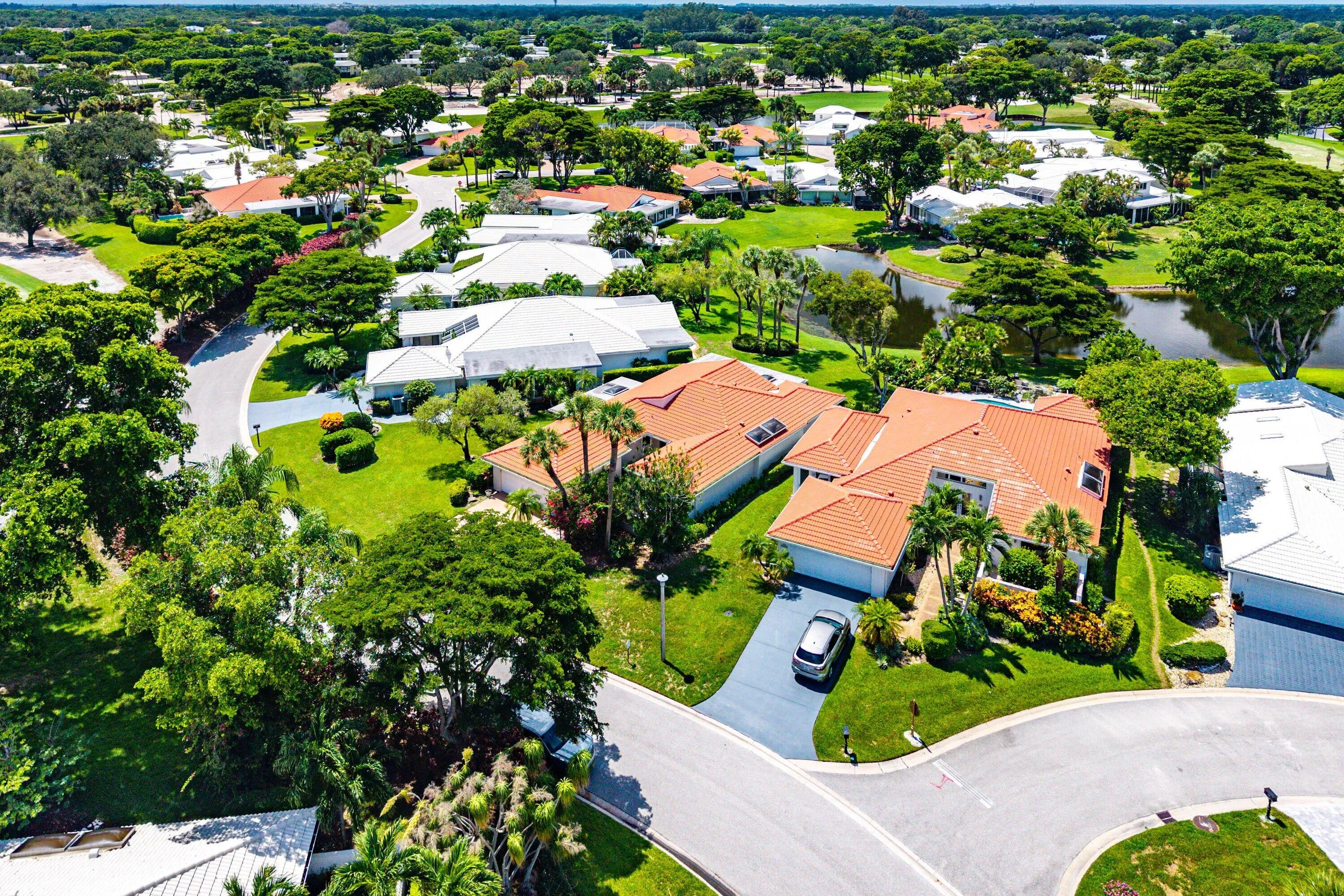 Aerial Views