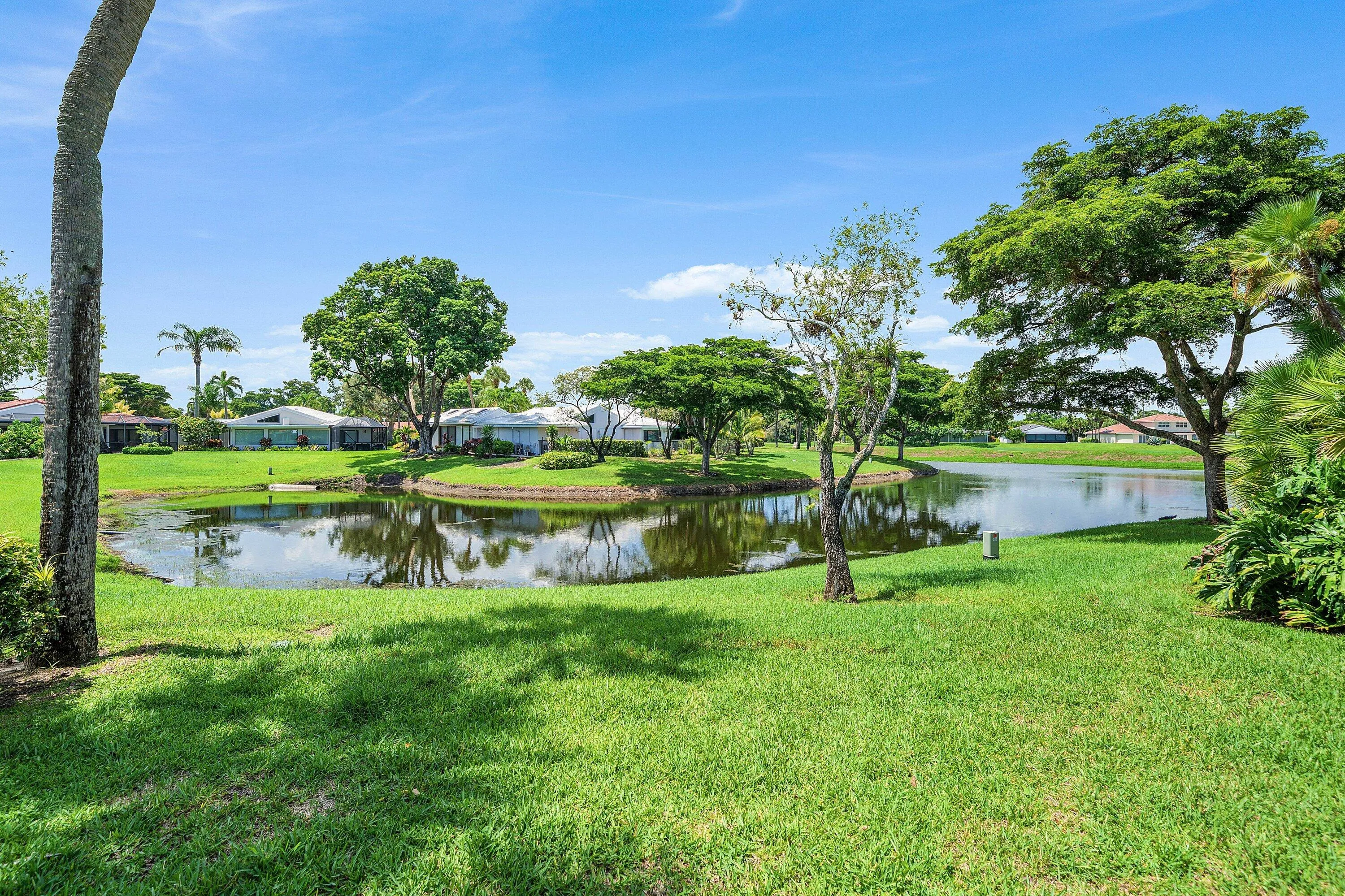 Lake behind Home