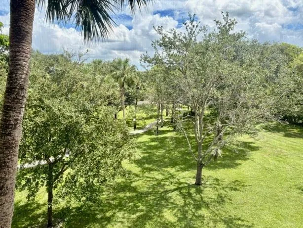 View From Balcony