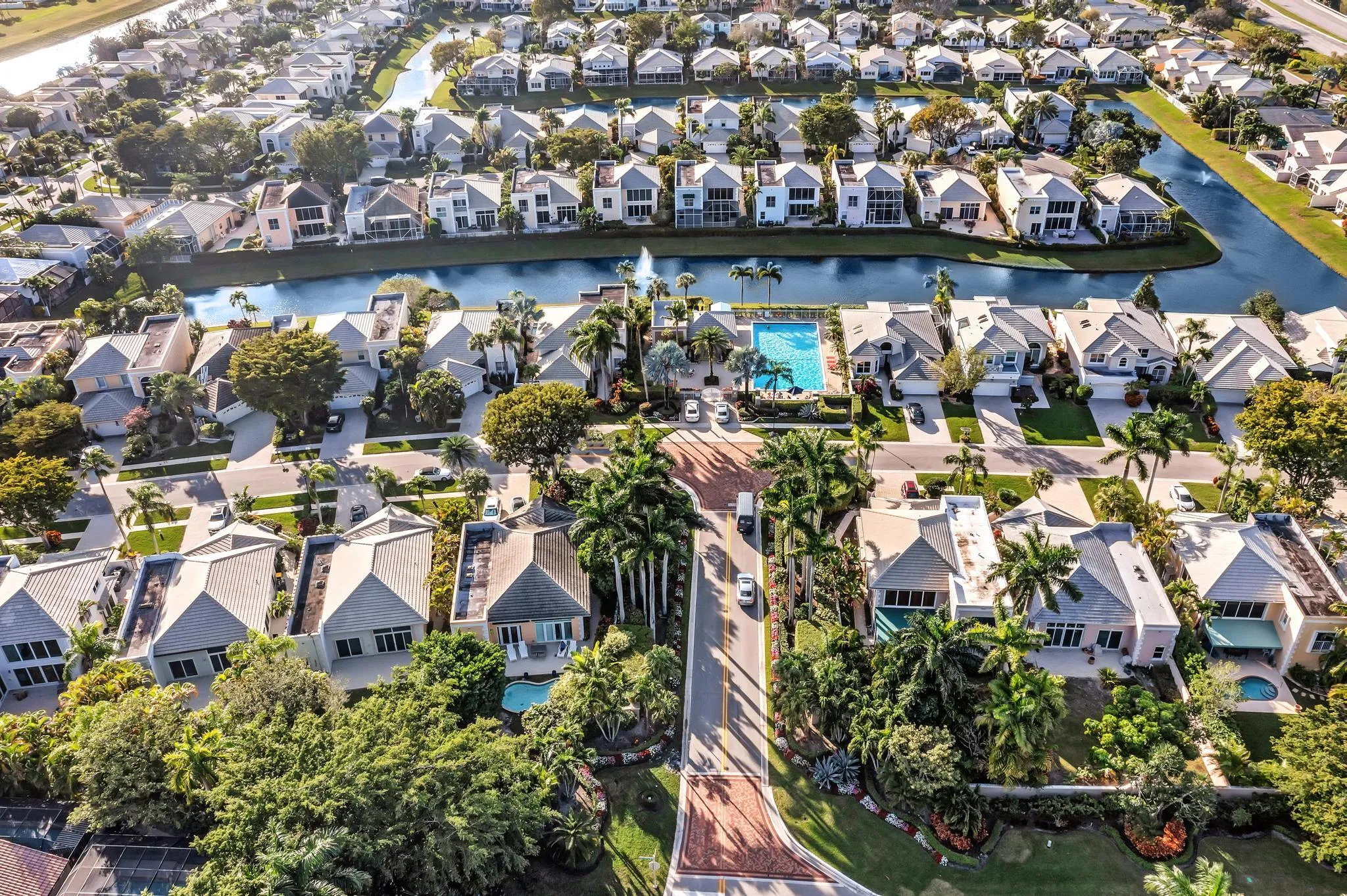 The Palms