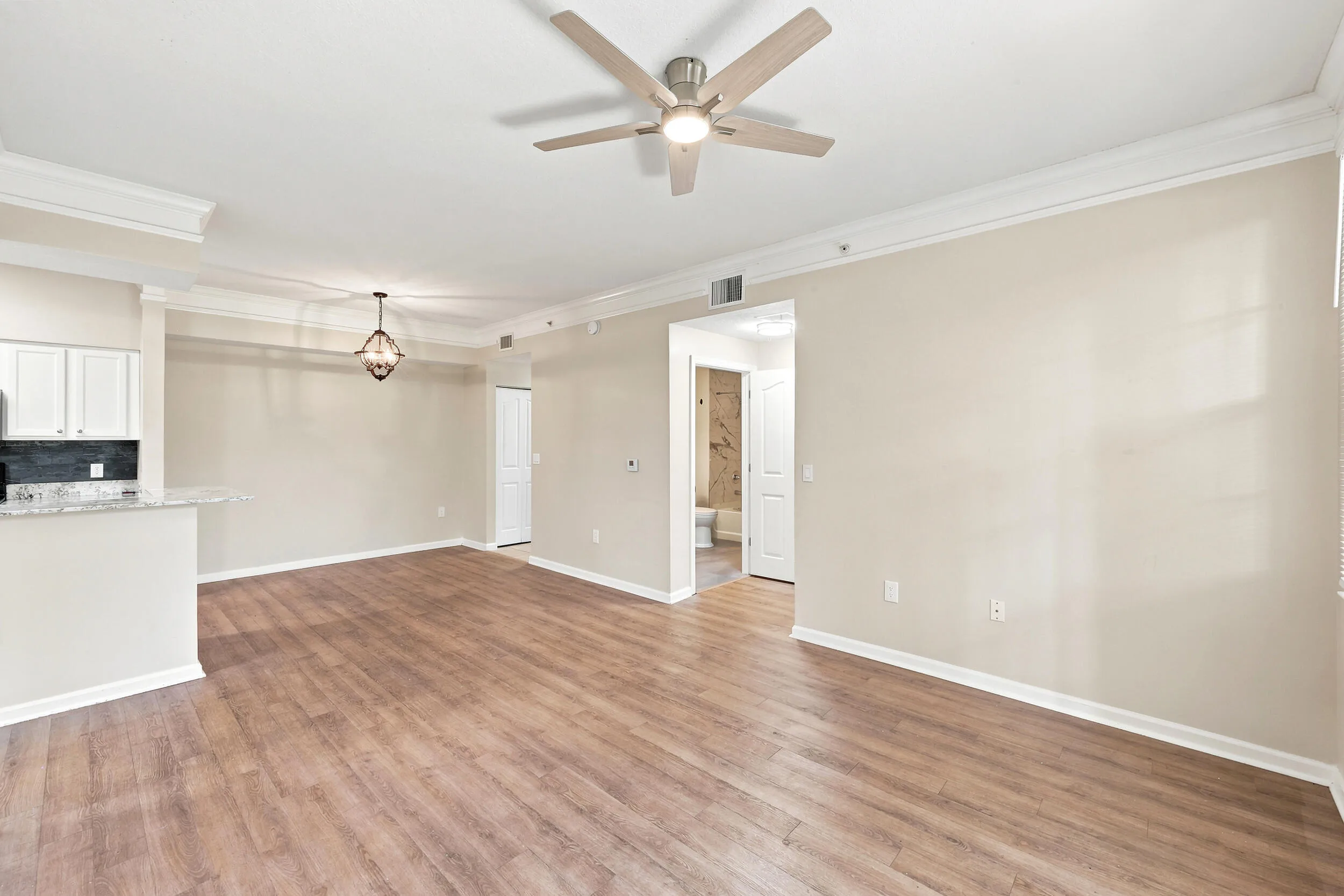 Living Room / Neutral Paint