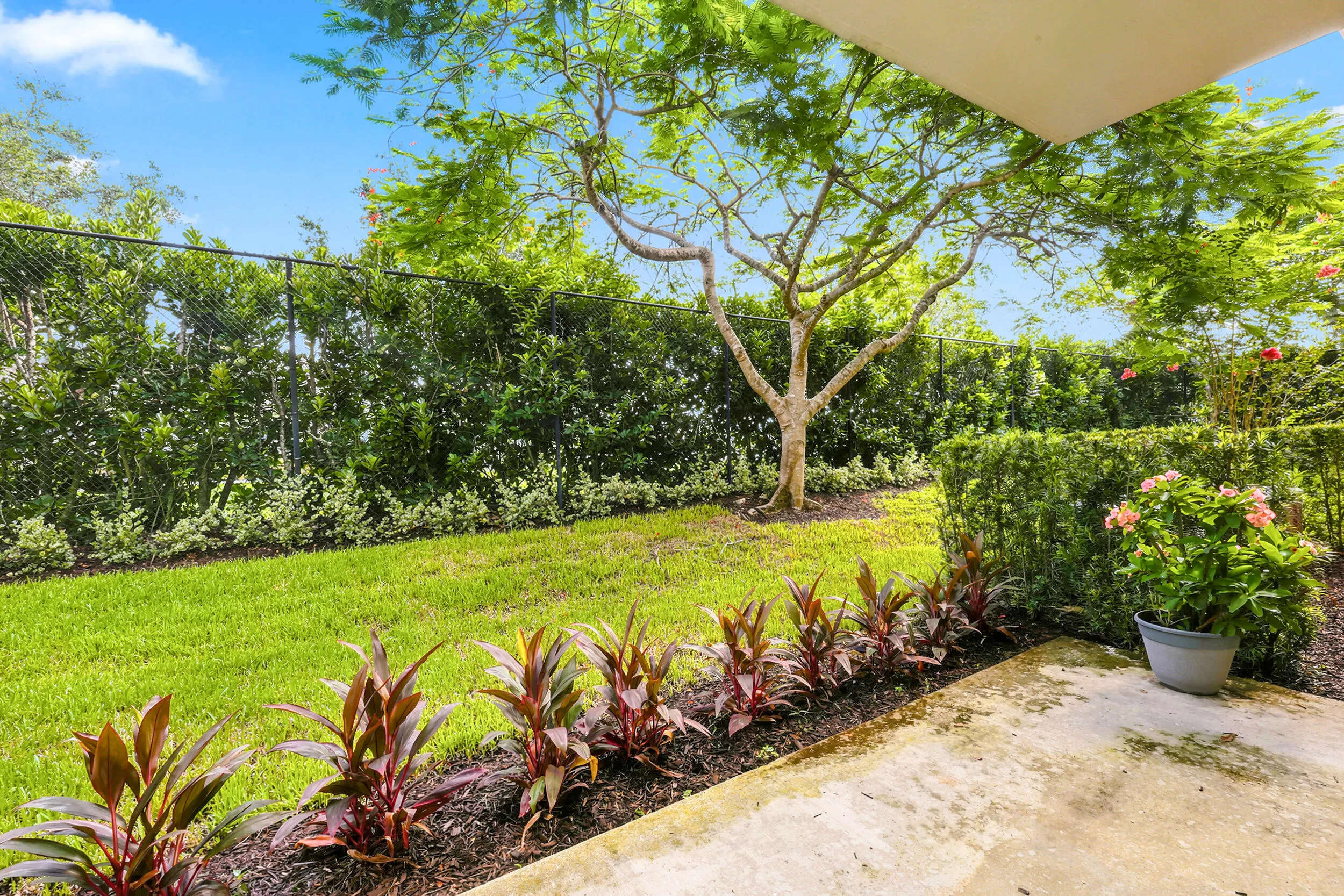 Lush Landscaping/ Privacy View