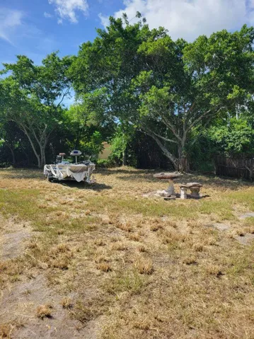 730 ILLEX BACK YARD