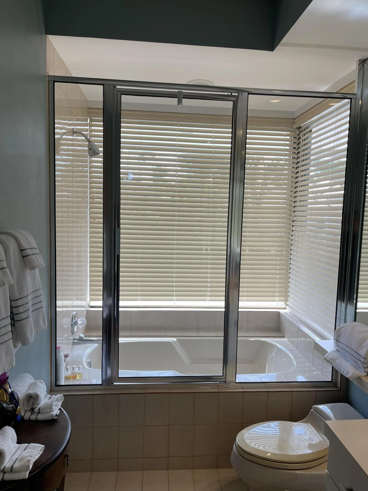 Shower/Tub Combo