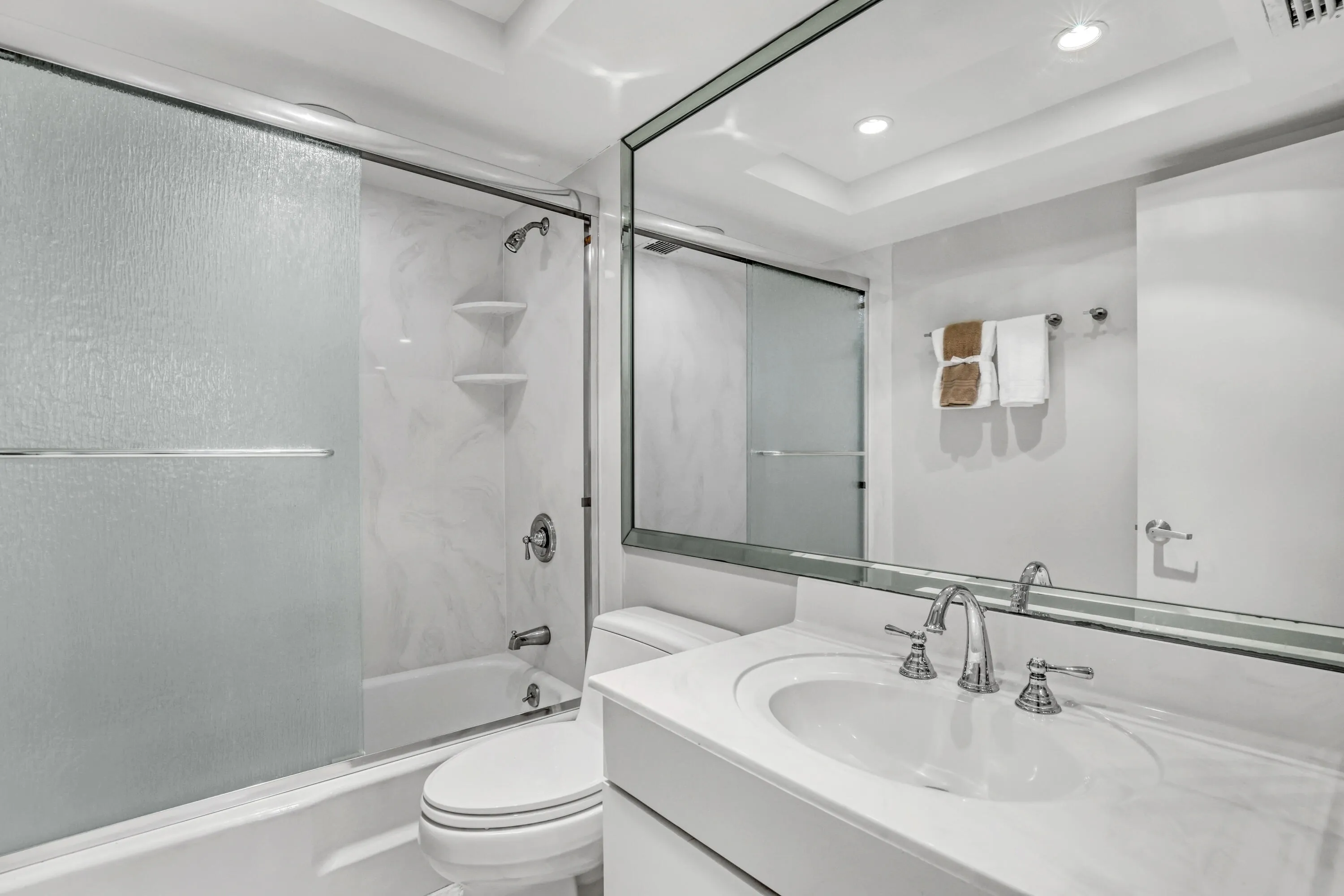 Shower/Tub Combo