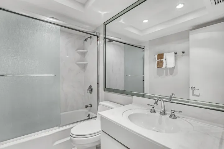 Shower/Tub Combo
