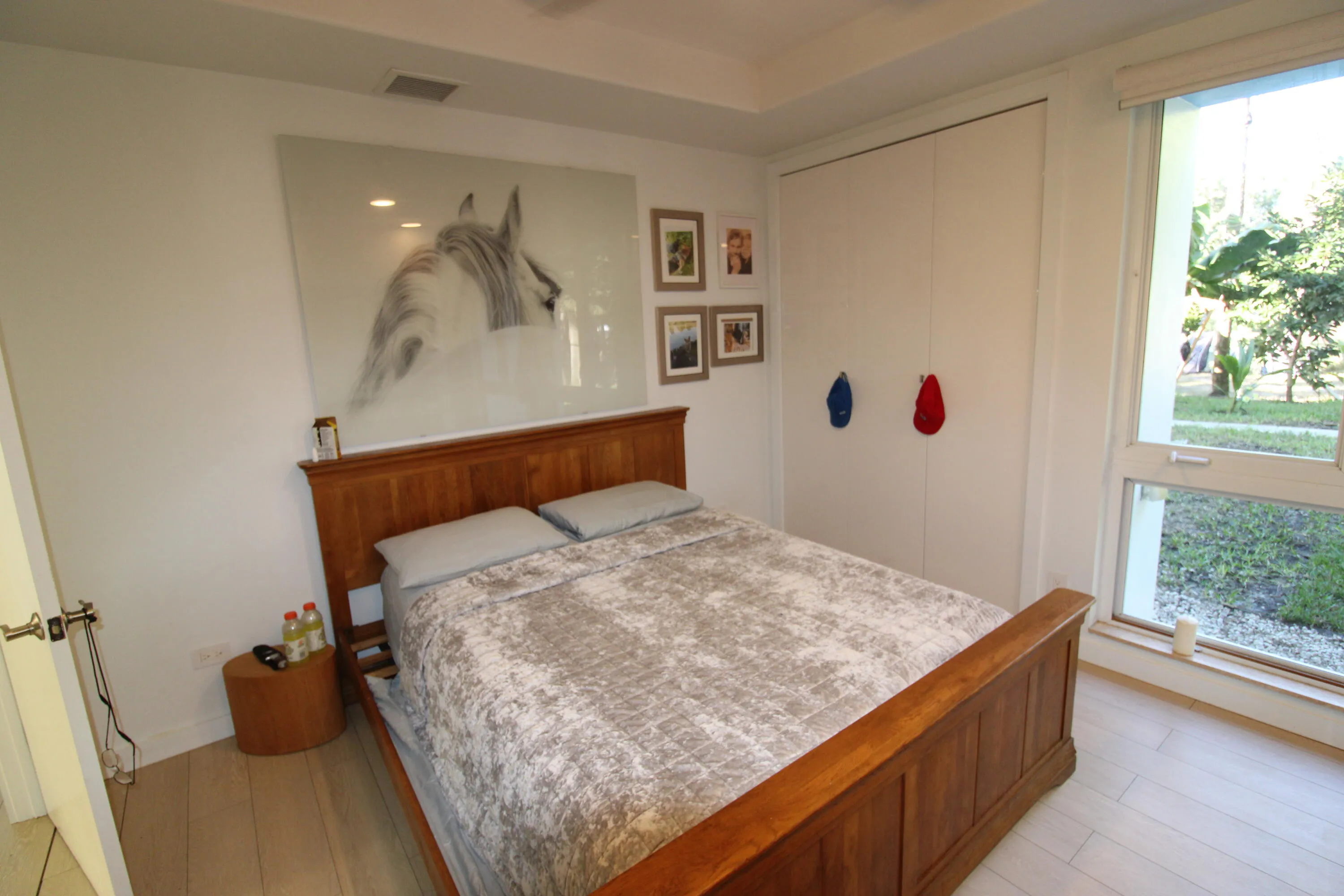 Downstairs bedroom