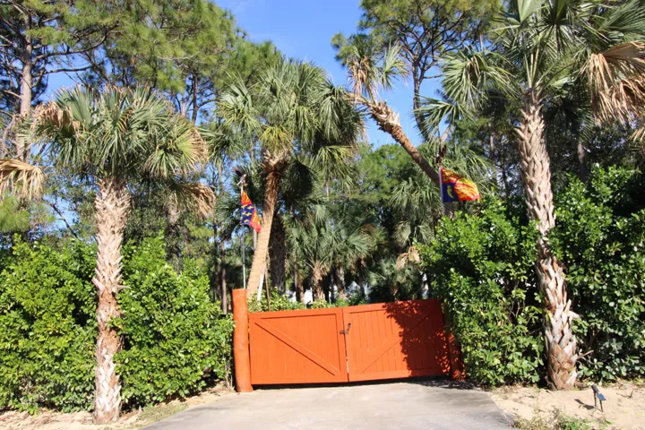 Main gate leading to a palm landscaped drive with paddock fenced areas on both sides.