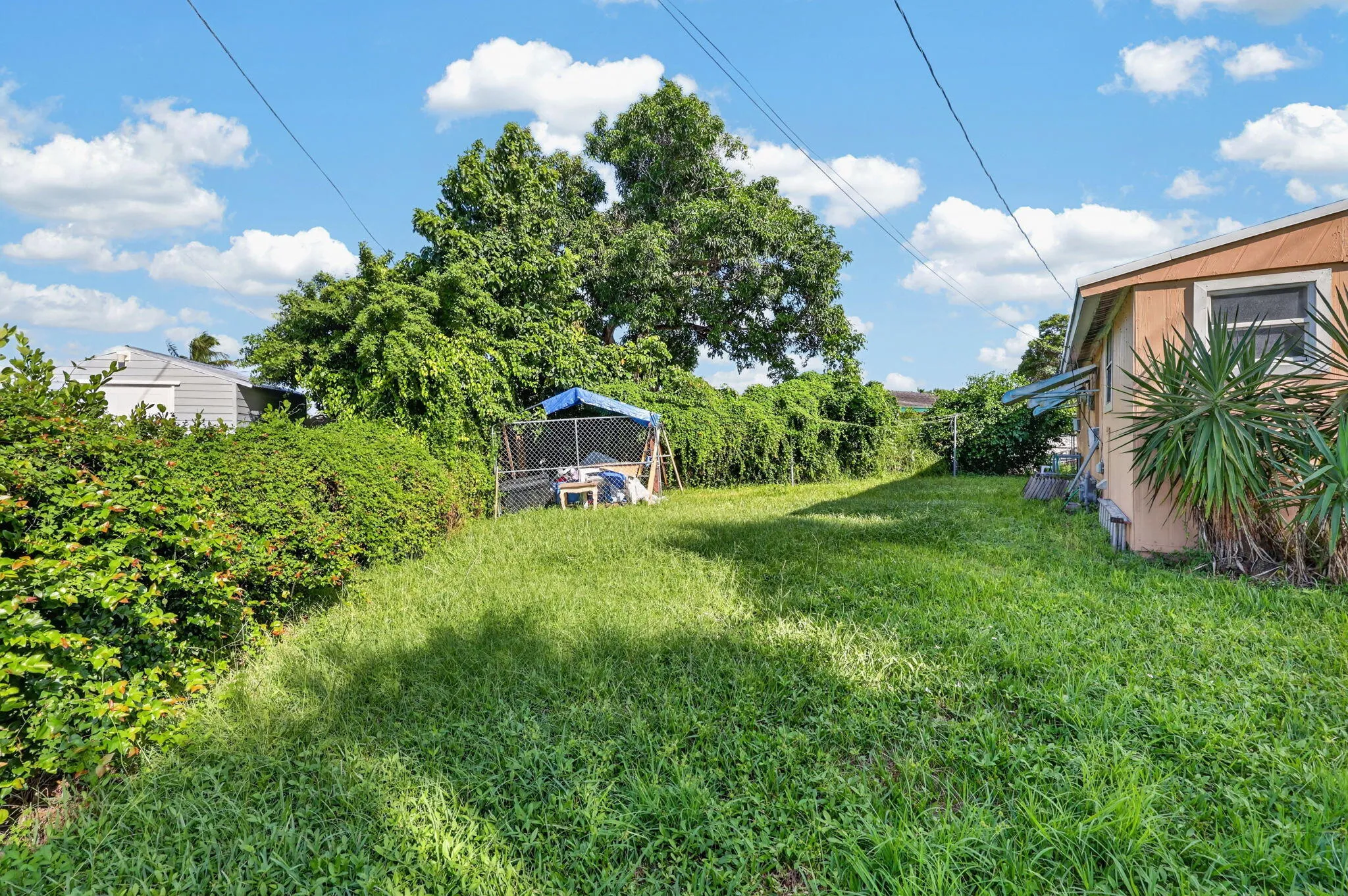 exterior yard