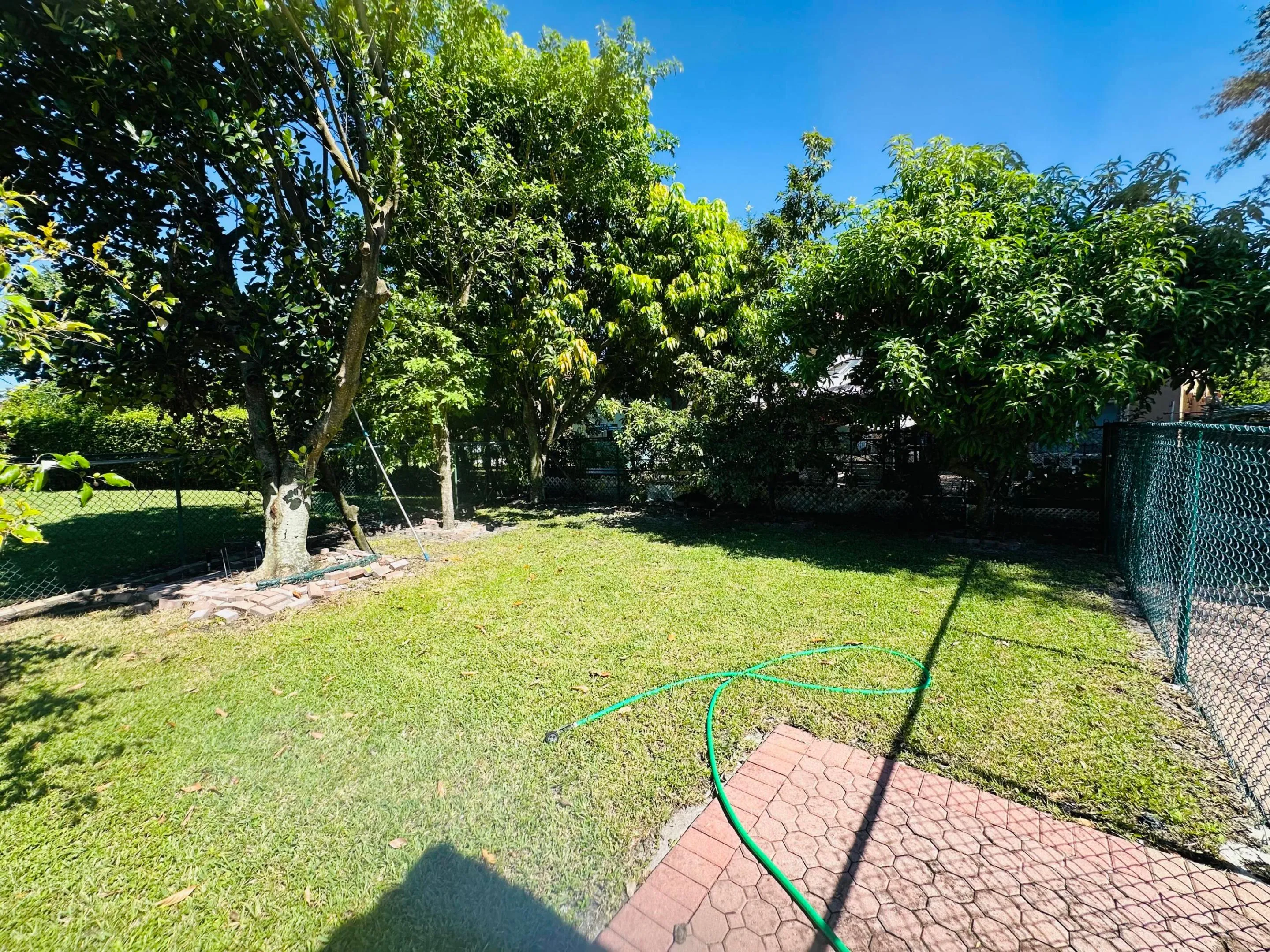Backyard