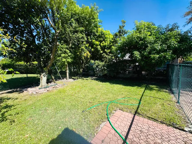 Backyard