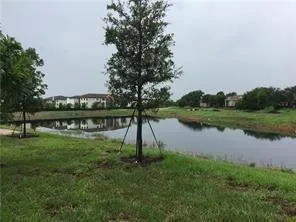 Backyard water view
