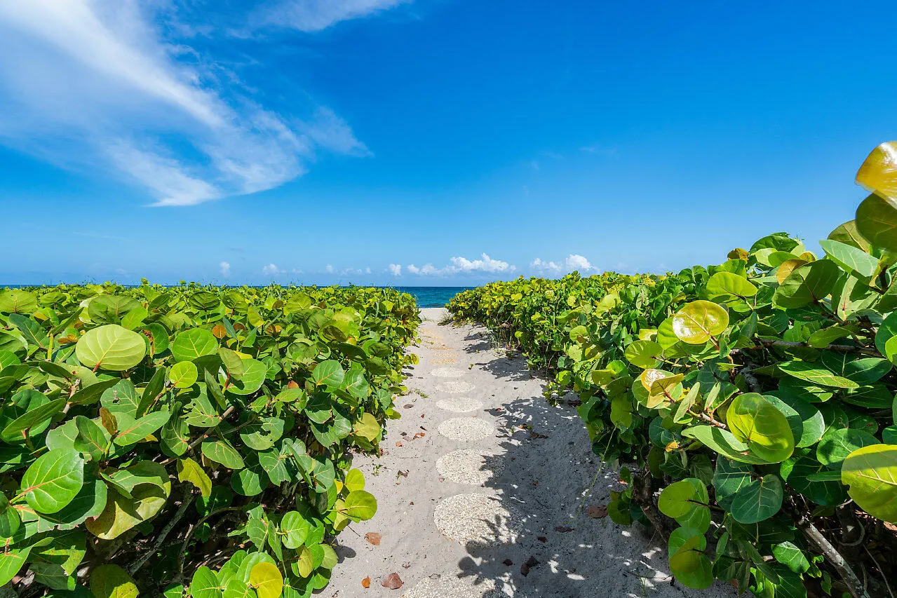 Walking Path to Beach
